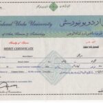 Merit Certificate