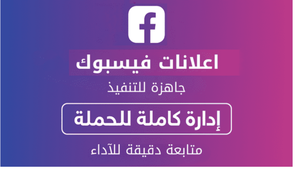 Shady Bader - portfolio - 0