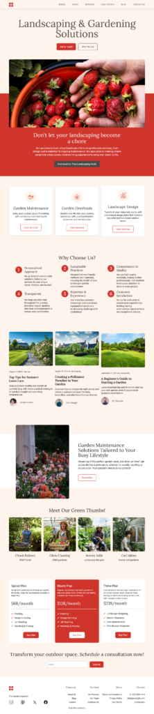 GODWIN OLUYEMI - portfolio - 1