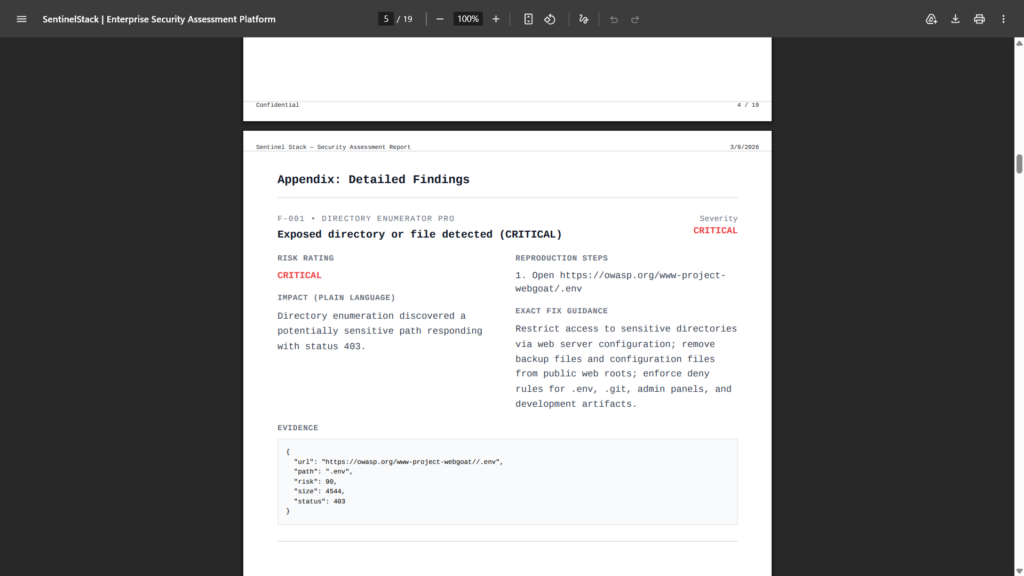 I can run security assesments for your enterprise. - portfolio - 1