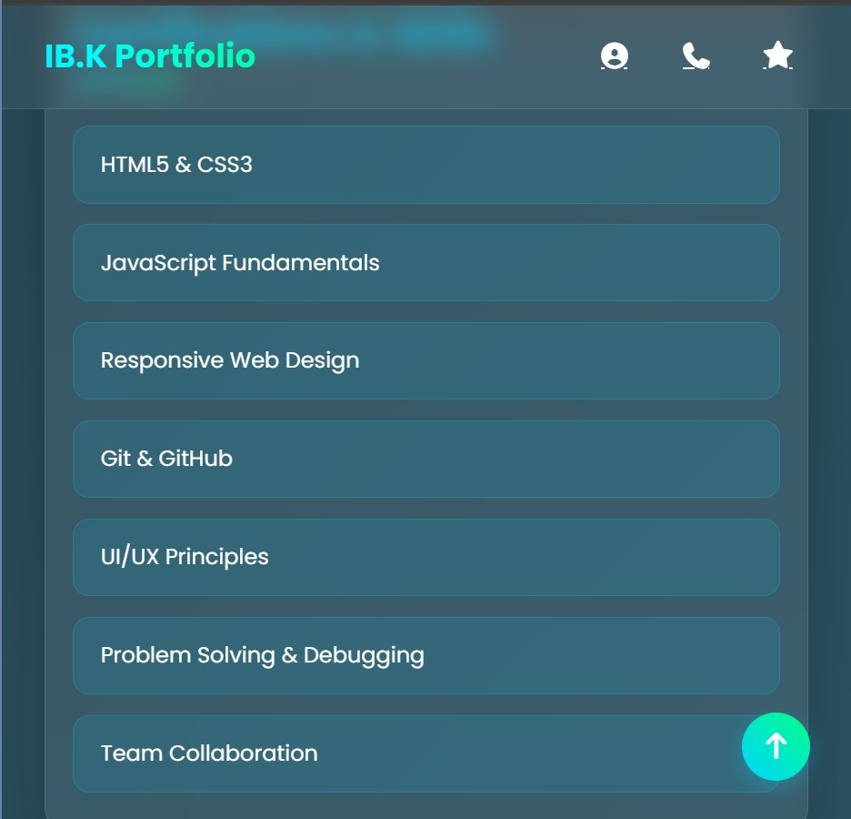 ibk chibsa - portfolio - 0