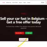 I will build a clean and modern website for your business