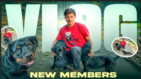 AYUSH SHARMA - portfolio - 1