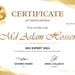SEO Expert