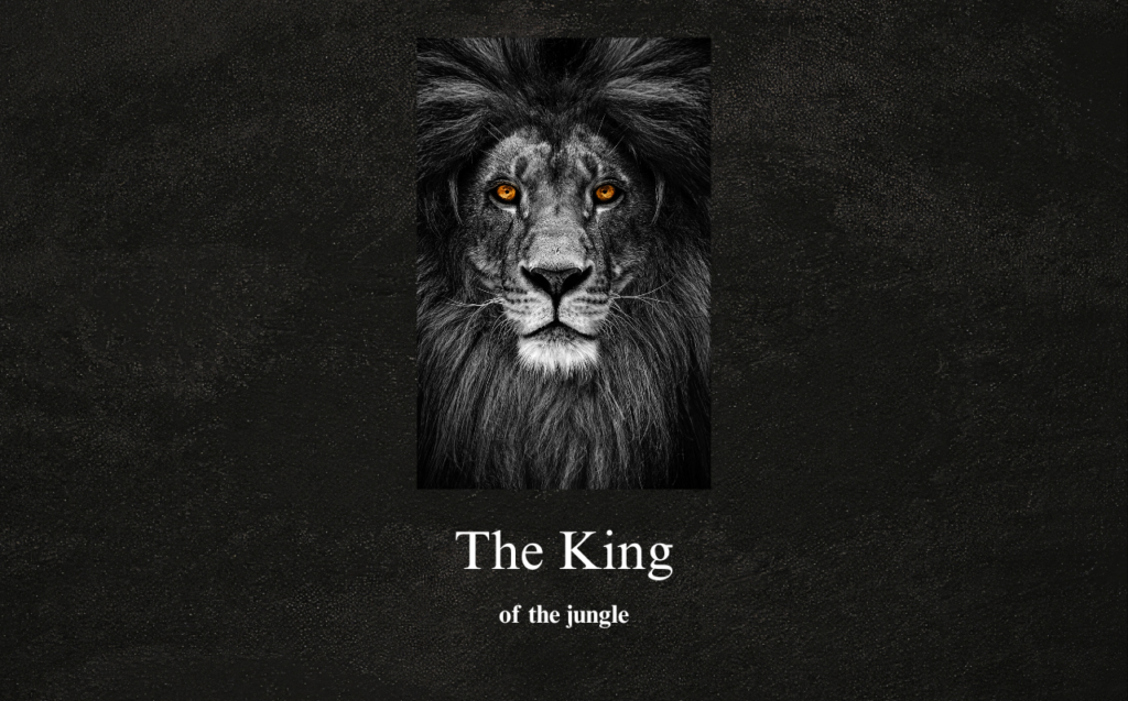 I will design a modern and professional logo for your brand - portfolio - 2
