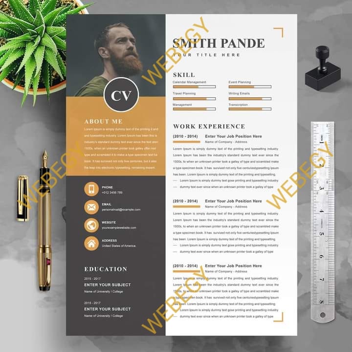 Resume create within 1hr - portfolio - 0