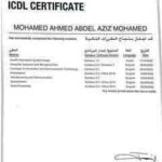 ICDL