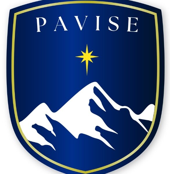 Pavise Cyber and IT Innovations