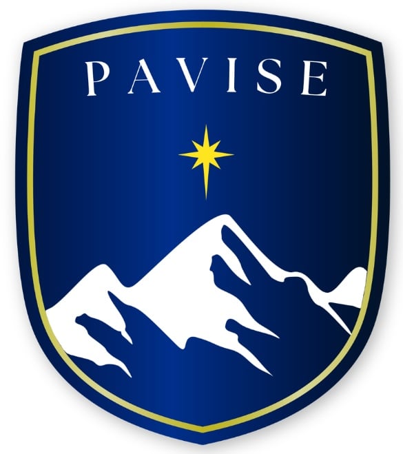 Pavise Cyber and IT Innovations