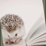 Lecture et explication de documents