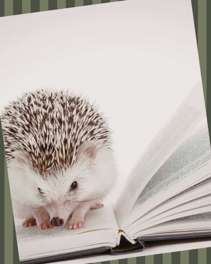 Lecture et explication de documents - portfolio - 0