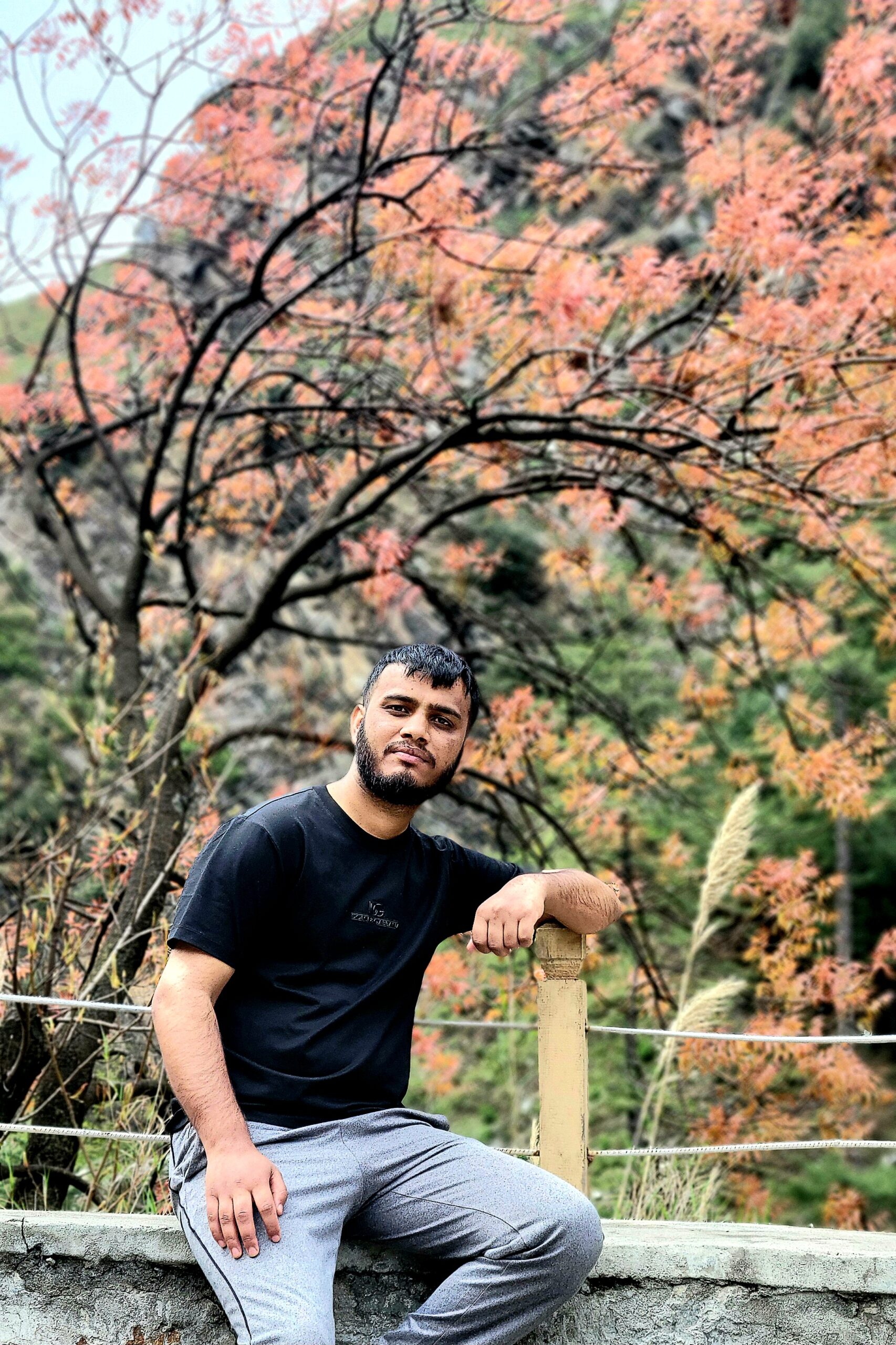 Awais Nadeem