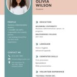 Rédacteur professionnel de CV | Expert en CV compatible avec ATS - À distance