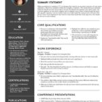 EXPERT RESUME SPECIALIST  - Remote