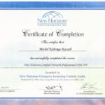 New Horizon Network Engineer