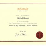 Oracle PL/SQL