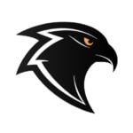 Black Falcons - حلب, سوريا