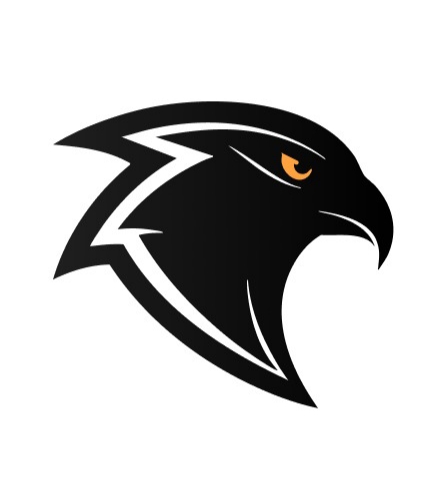 Black Falcons