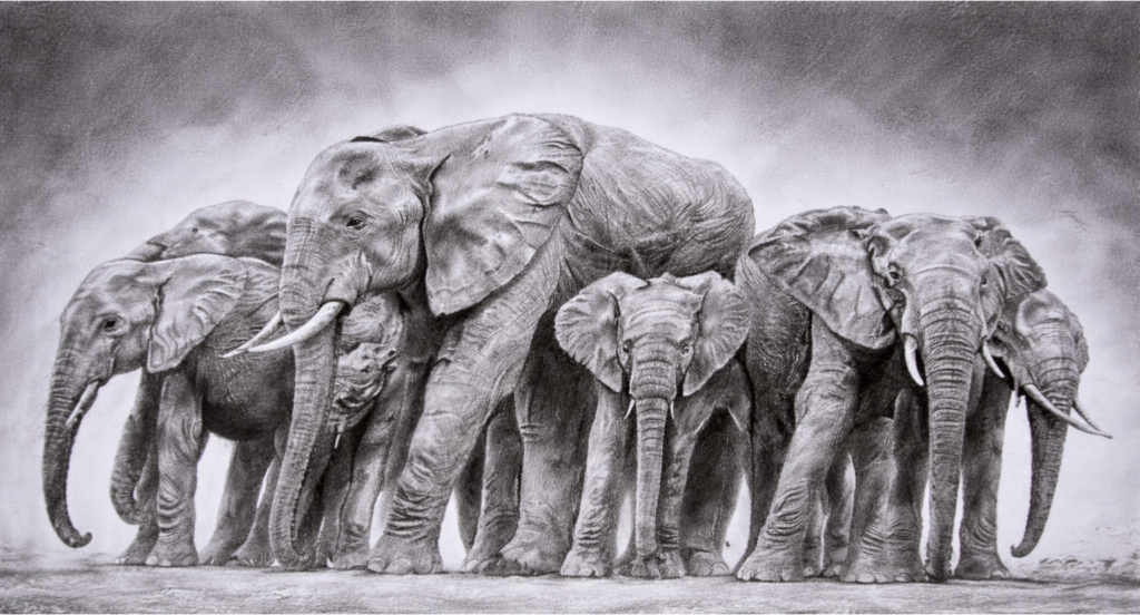 Ashish Kumar - portfolio - 0