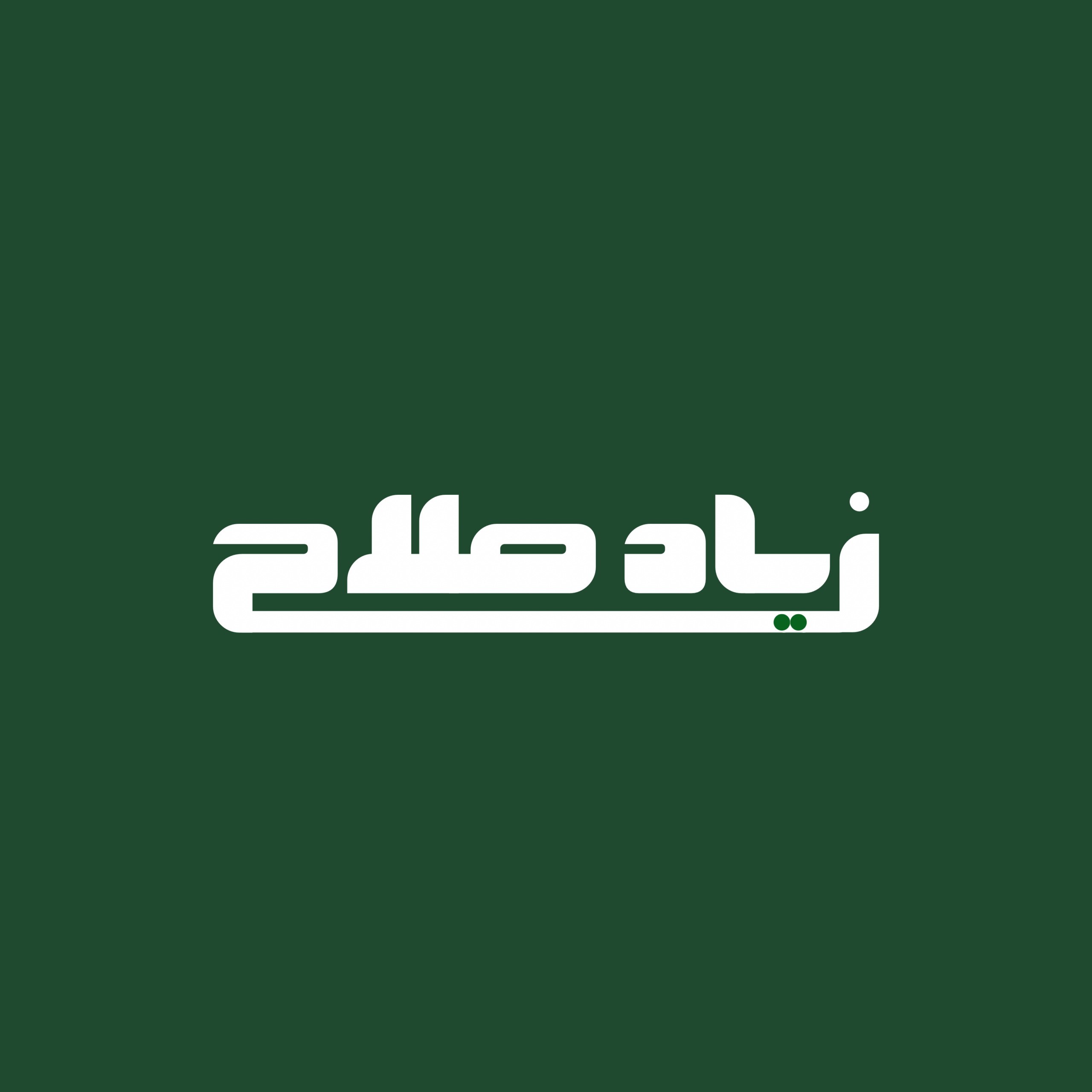 Ziad Salah - cover