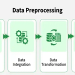 Cleaning and preparing data using Python in 3 days - Remote