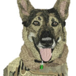 I will do Embroidery Digitizing for you  - Remote