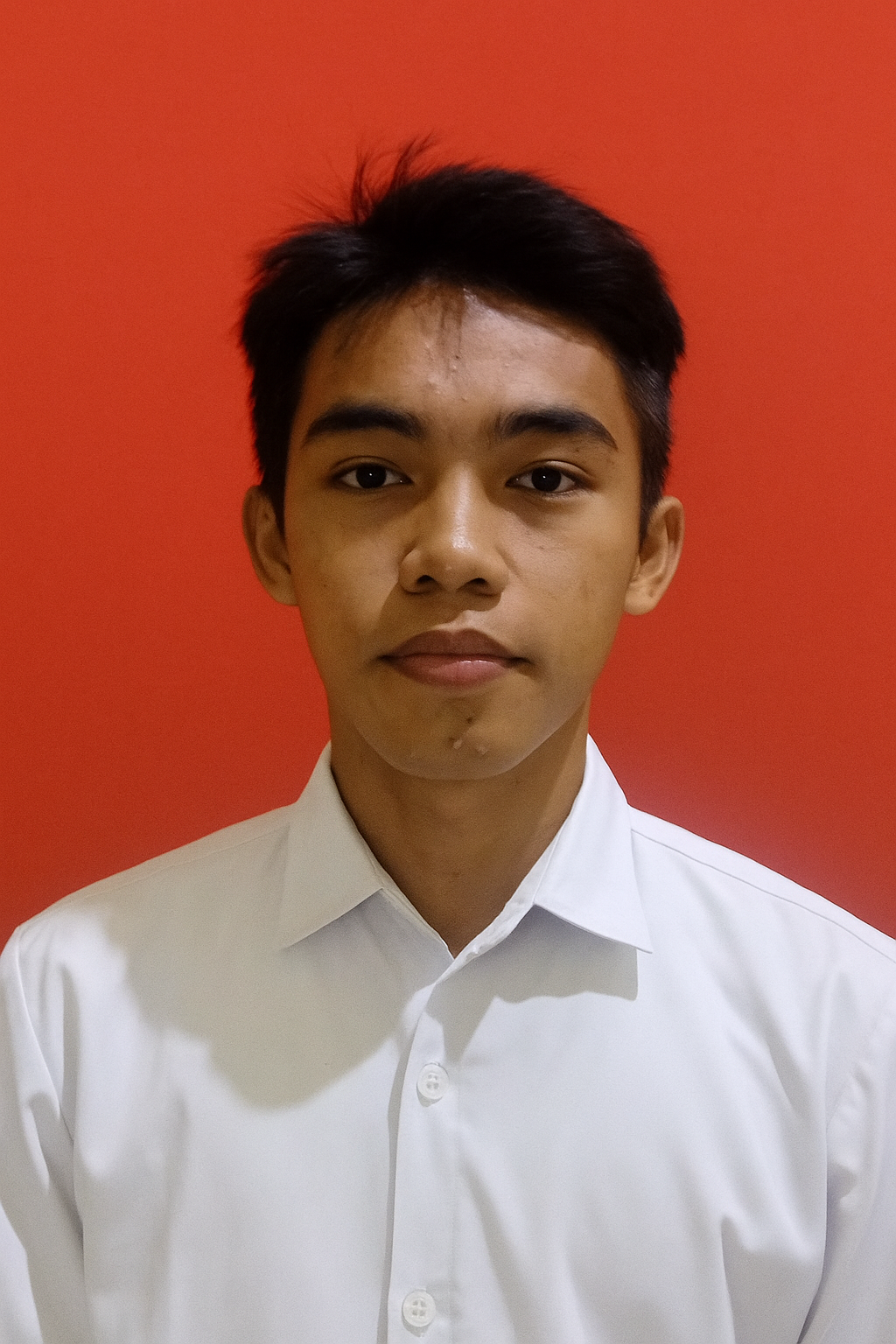 arya ariyanto