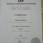 User Support Professional