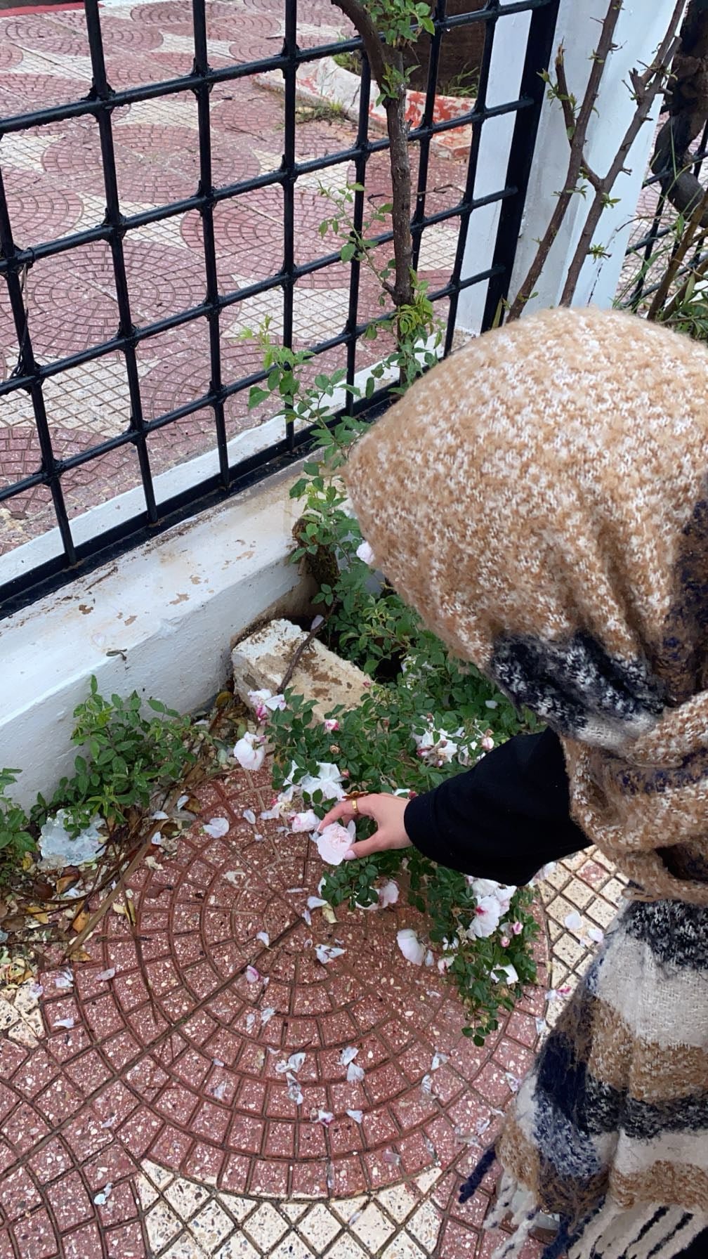 Fatima  Zahra 
