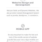 i will  create a complete basic website in 10 days 