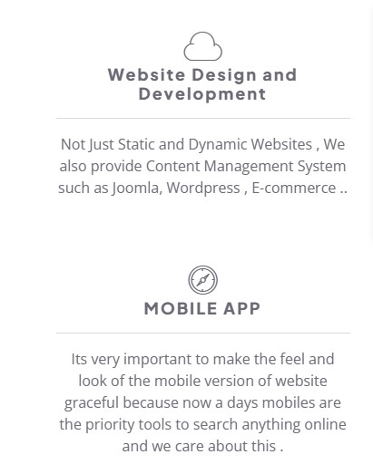 i will create a complete basic website in 10 days - portfolio - 0