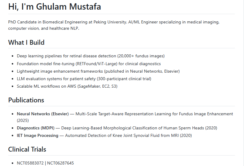 Ghulam Mustafa - portfolio - 0