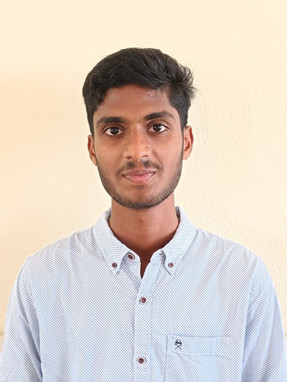 SAI NANDU POSINA