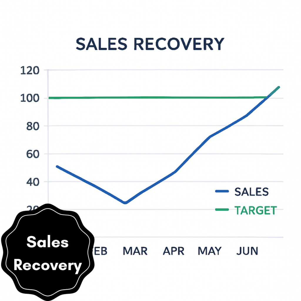 E-Commerce DM & Sales Recovery Support. - portfolio - 1