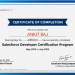 Salesforce Developer