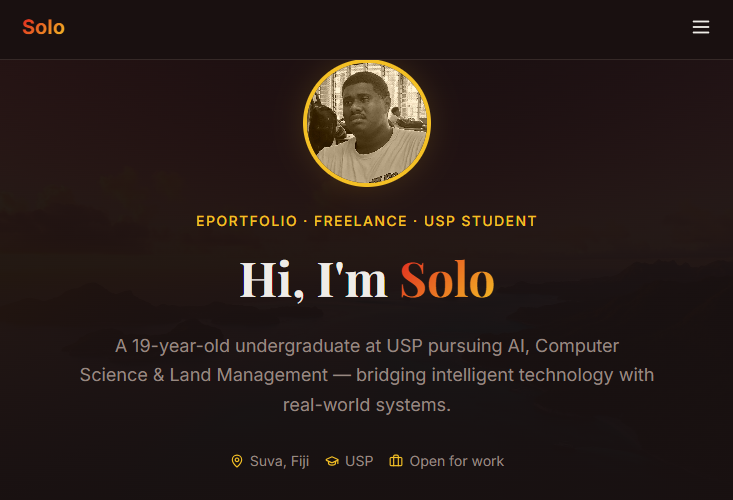 solomone senibuli - portfolio - 2