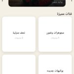 I will develop a professional Flutter mobile app