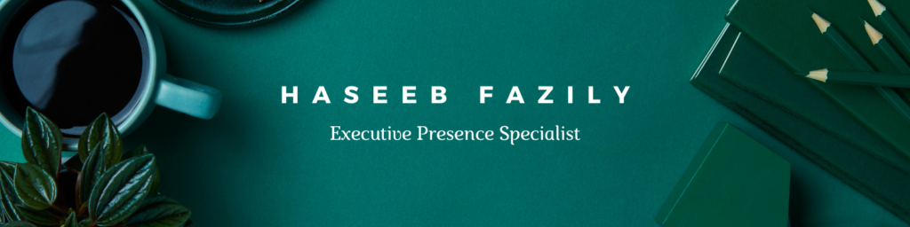 Haseeb Fazily - cover