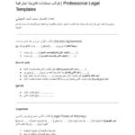 Drafting contracts, agreements, petitions and legal memoranda