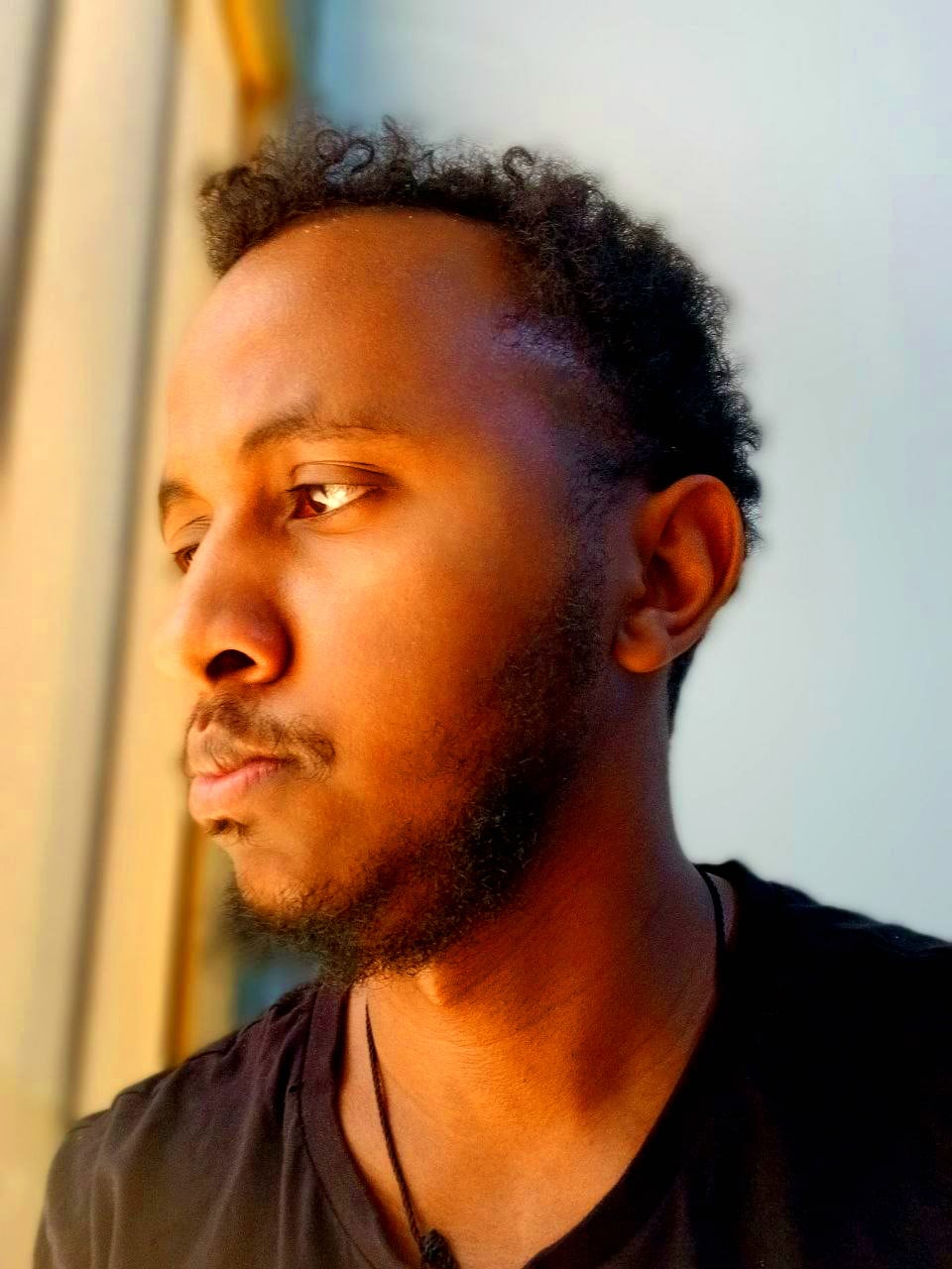 Stephan Tegene - cover
