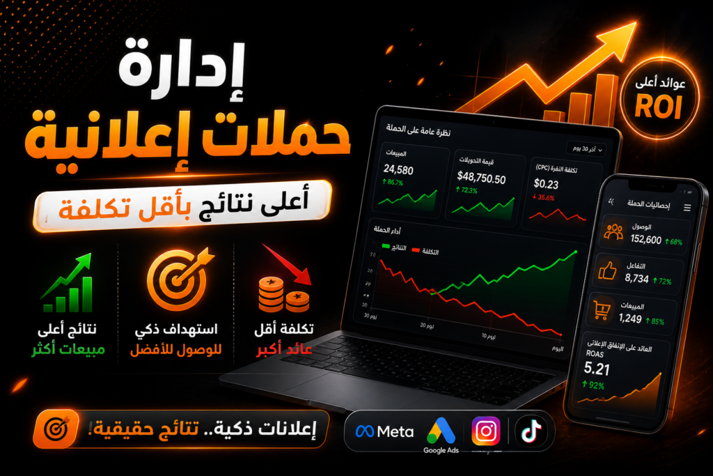 Manage professional advertising campaigns that achieve the highest return at the lowest cost - portfolio - 0