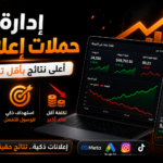Manage professional advertising campaigns that achieve the highest return at the lowest cost