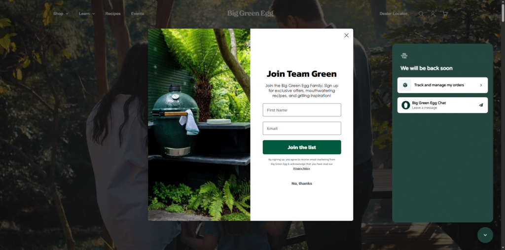 I can create your professional E-commerce website - portfolio - 1