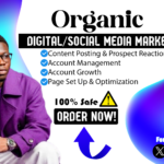 I Will Create Graphics For Your Social Media Platforms