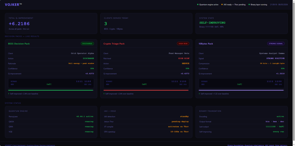 Custom Executive Dashboards & Business Apps - portfolio - 0