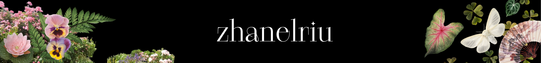 Zhanel Manarbekova - cover