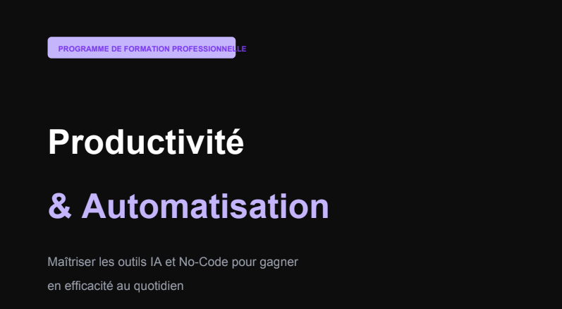 Training on Productivity and Automation tools - portfolio - 0