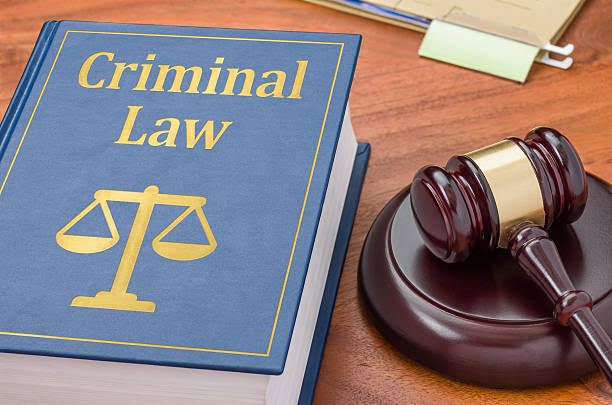 Criminal Litigation and Defense Lawyer - portfolio - 0
