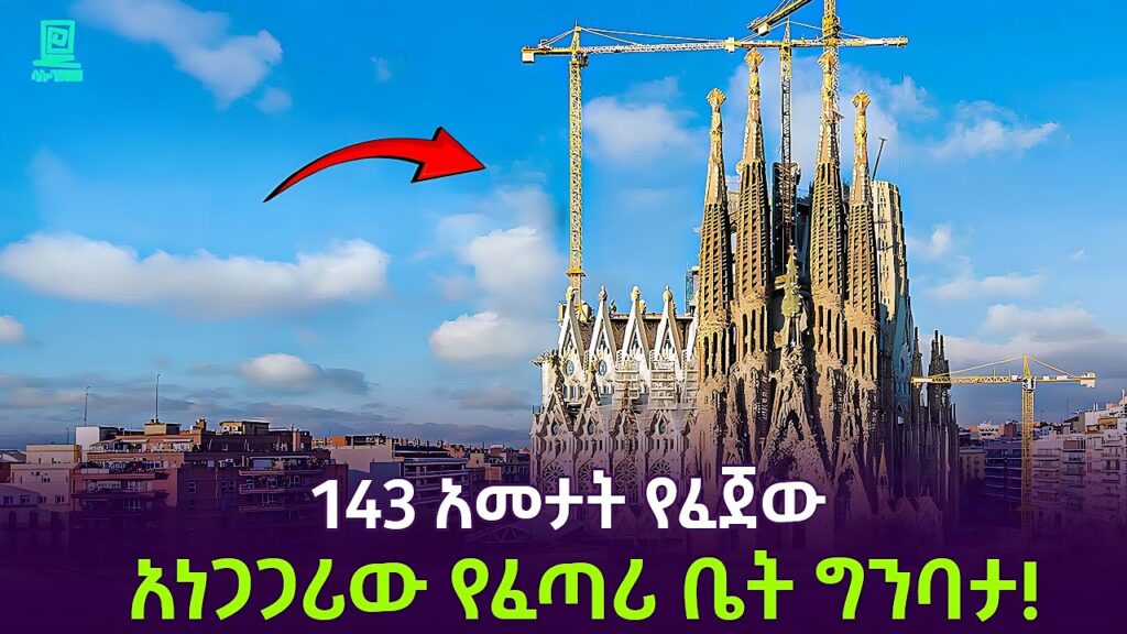 I will translate English to Amharic - portfolio - 2
