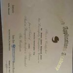 Oracle Developer
